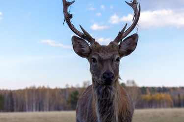 Similar image 13288810