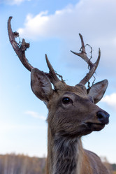 Similar image 13288812