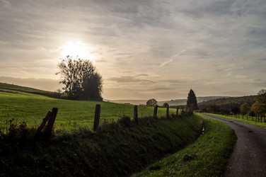 Similar image 13288975