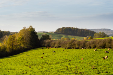 Similar image 13288976