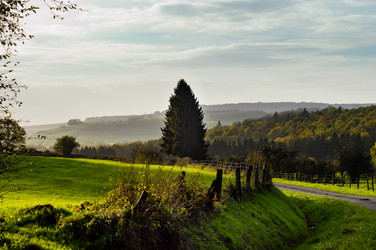 Similar image 13288977