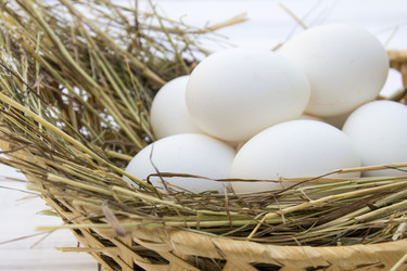 Similar image 13287717