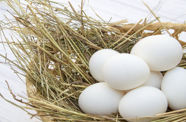 Similar image 13287718