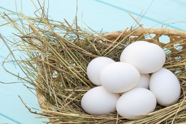 Similar image 13287721