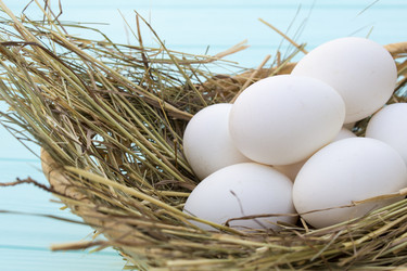 Similar image 13287722