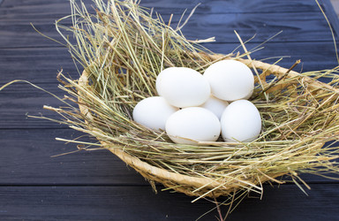 Similar image 13288174