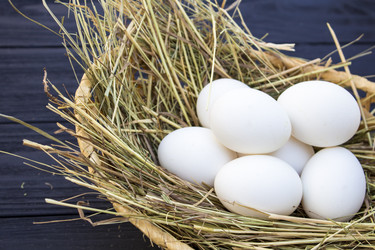 Similar image 13288175