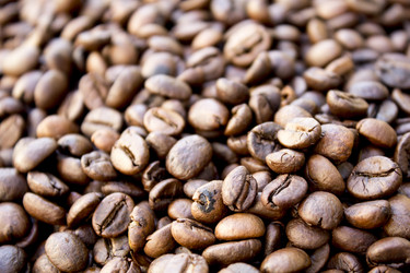 Similar image 13287633