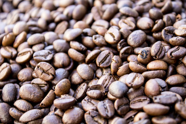 Similar image 13287635