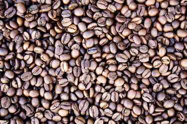 Similar image 13287648