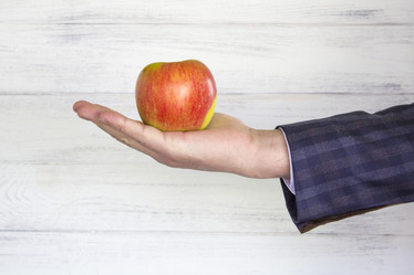 Similar image 13287643