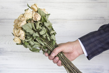 Similar image 13287687