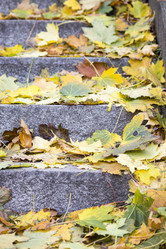 Similar image 13287691