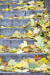 Similar image 13287692