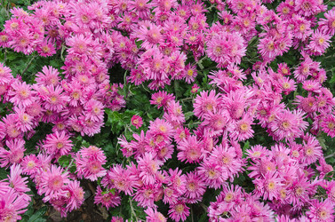 Similar image 13288897