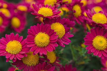 Similar image 13288898