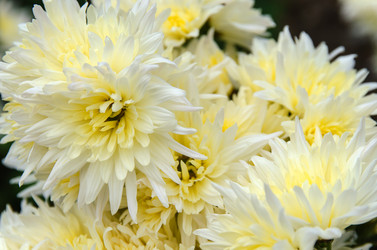 Similar image 13288899