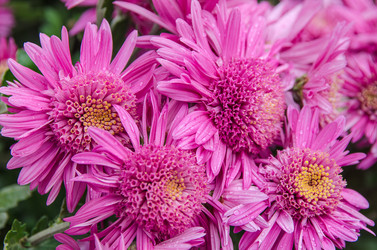 Similar image 13288900