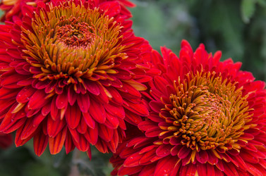 Similar image 13288901