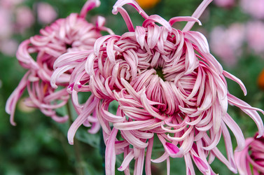 Similar image 13288902