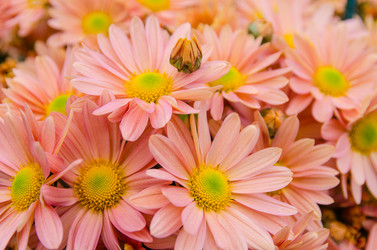 Similar image 13288912