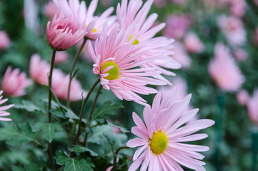 Similar image 13288914