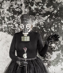 Similar image 13287653