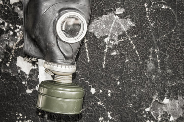 Similar image 13287655