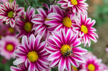 Similar image 13288919