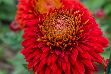 Similar image 13288922