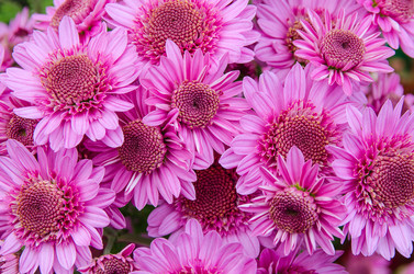 Similar image 13289038