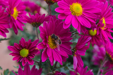 Similar image 13289039