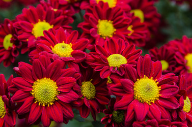 Similar image 13289040