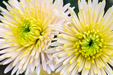 Similar image 13289052