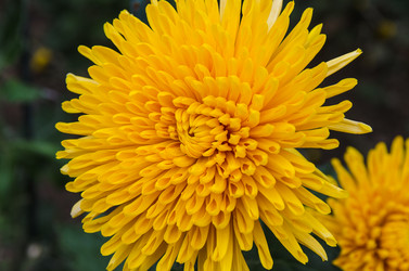 Similar image 13289055