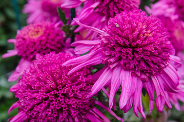 Similar image 13289056