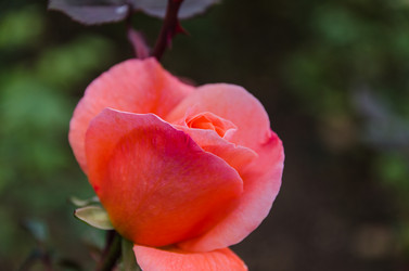 Similar image 13289057