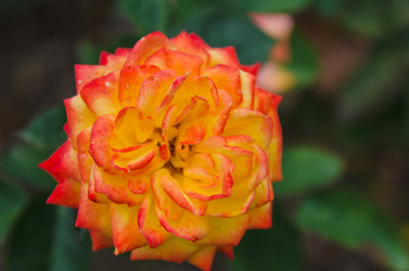 Similar image 13289059