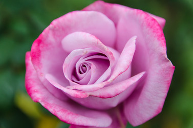 Similar image 13289063