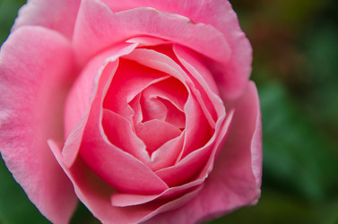 Similar image 13289065