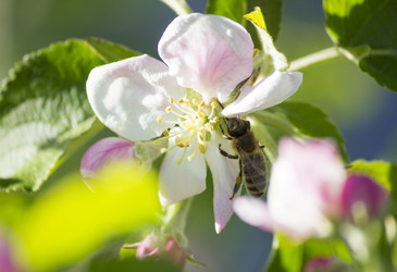 Similar image 13287677