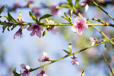 Similar image 13287679