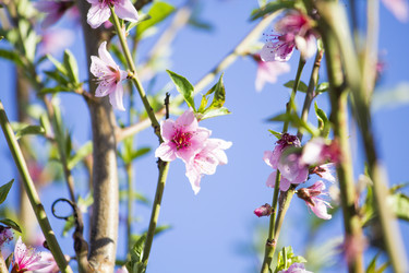 Similar image 13287680