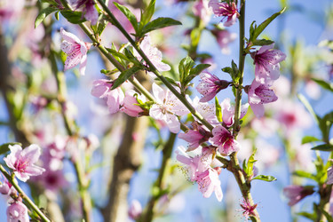 Similar image 13287681