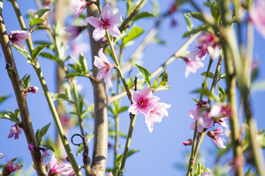 Similar image 13287682