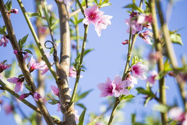 Similar image 13287683