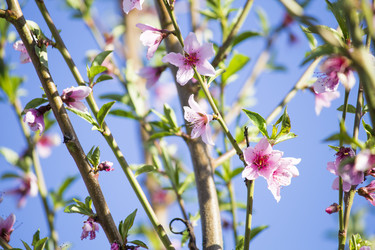 Similar image 13287684