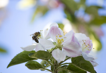 Similar image 13287693