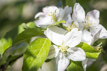 Similar image 13287696