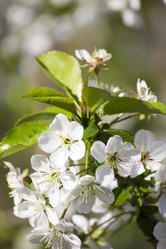 Similar image 13287698